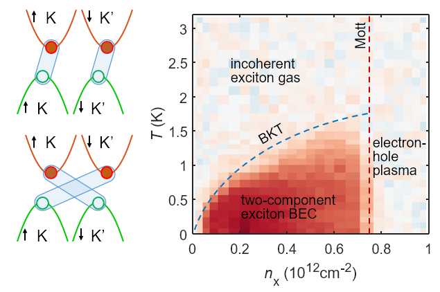 Two-component exciton condensate