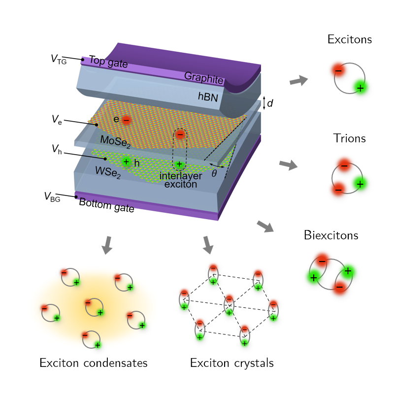 Correlated electron-hole fluids
