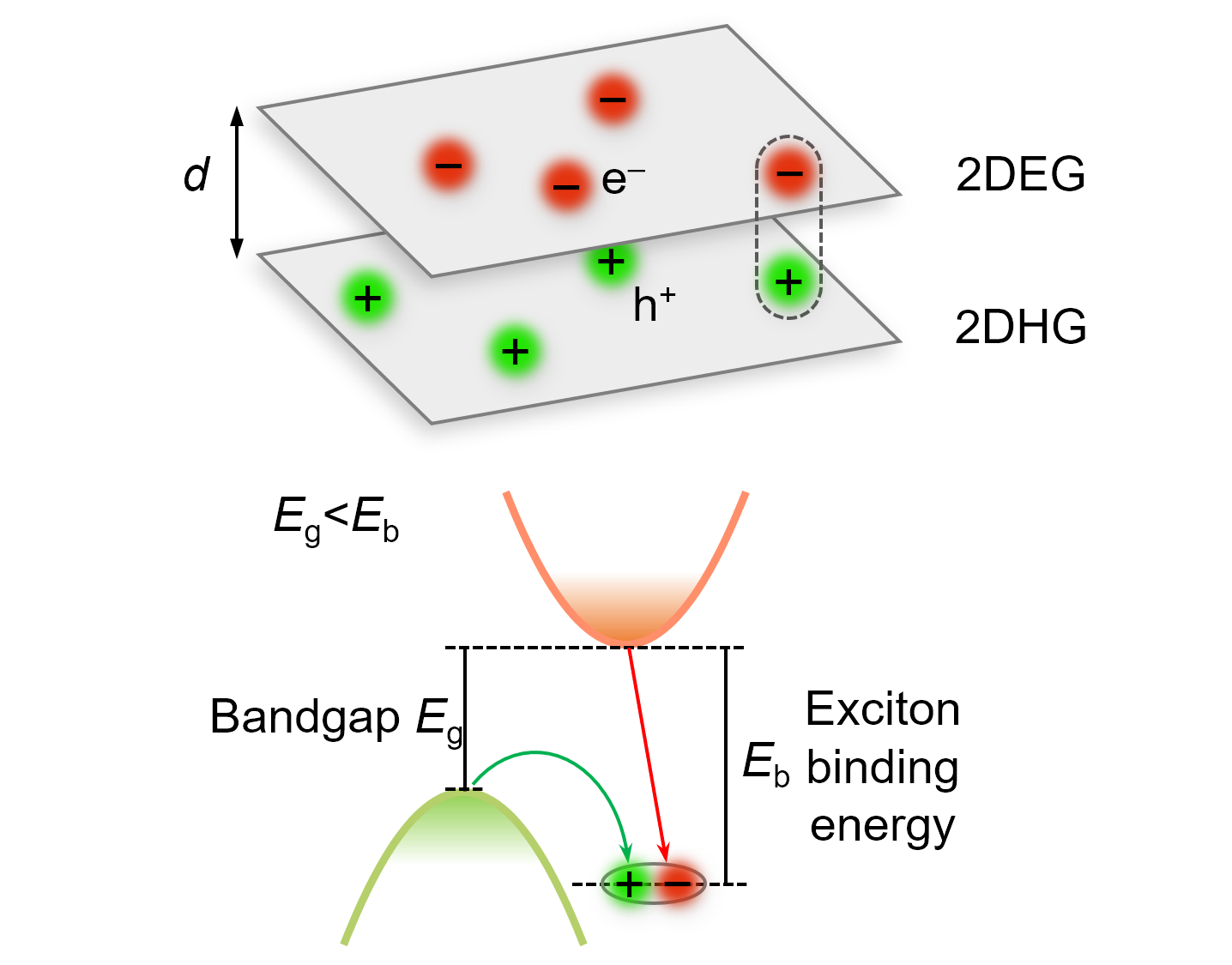 Correlated excitonic insulator
