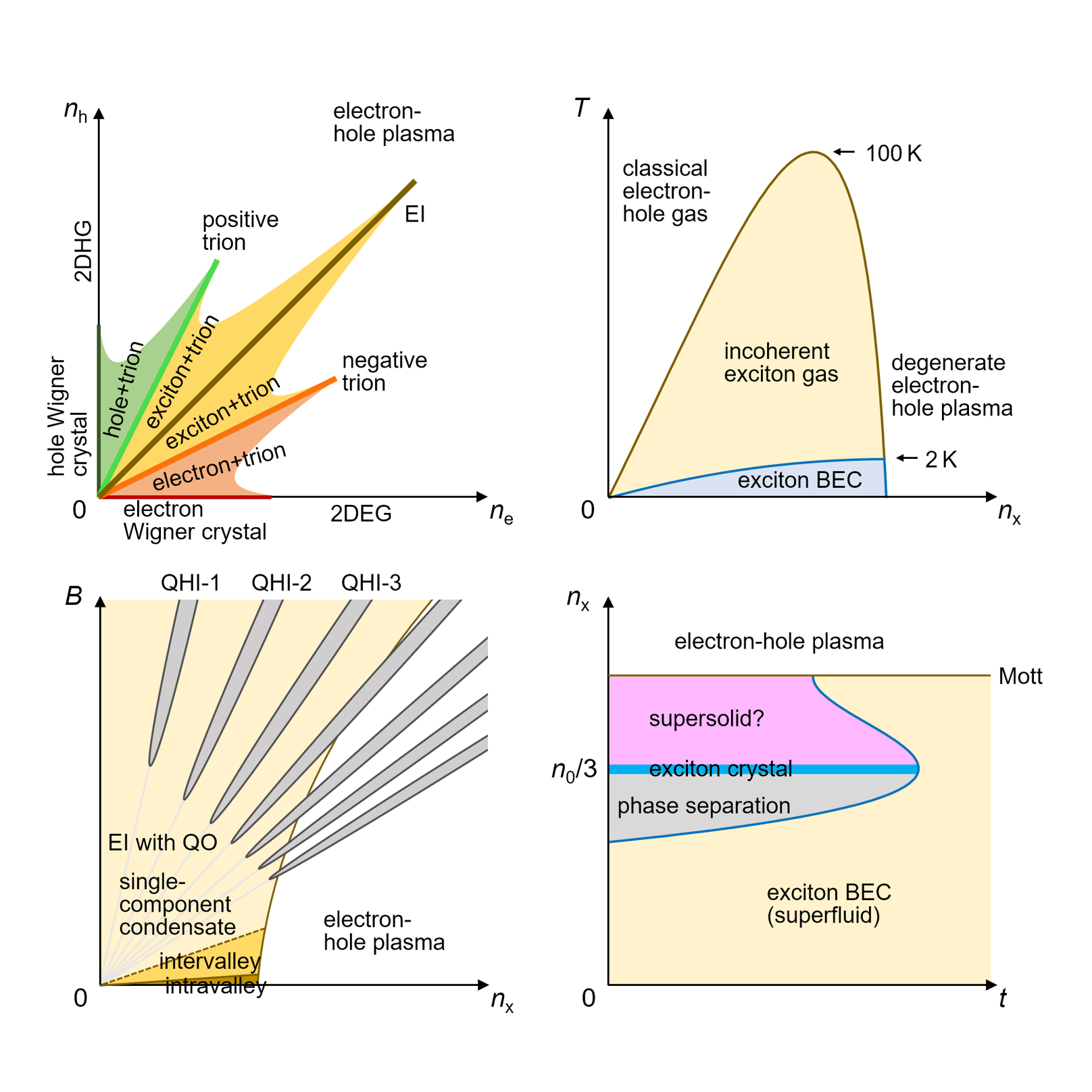 Rich phase diagrams of electron-hole bilayers